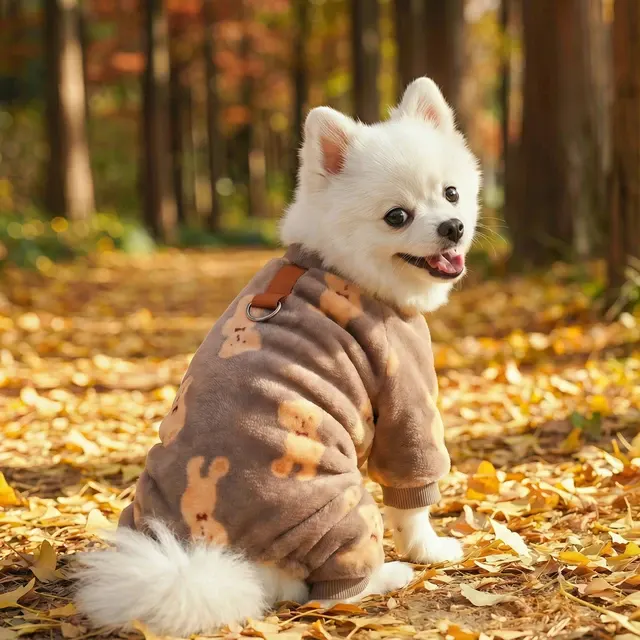 Hunde-Fleece-Overall 3