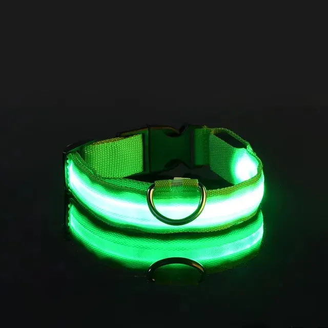 LED-Hundehalsband 4