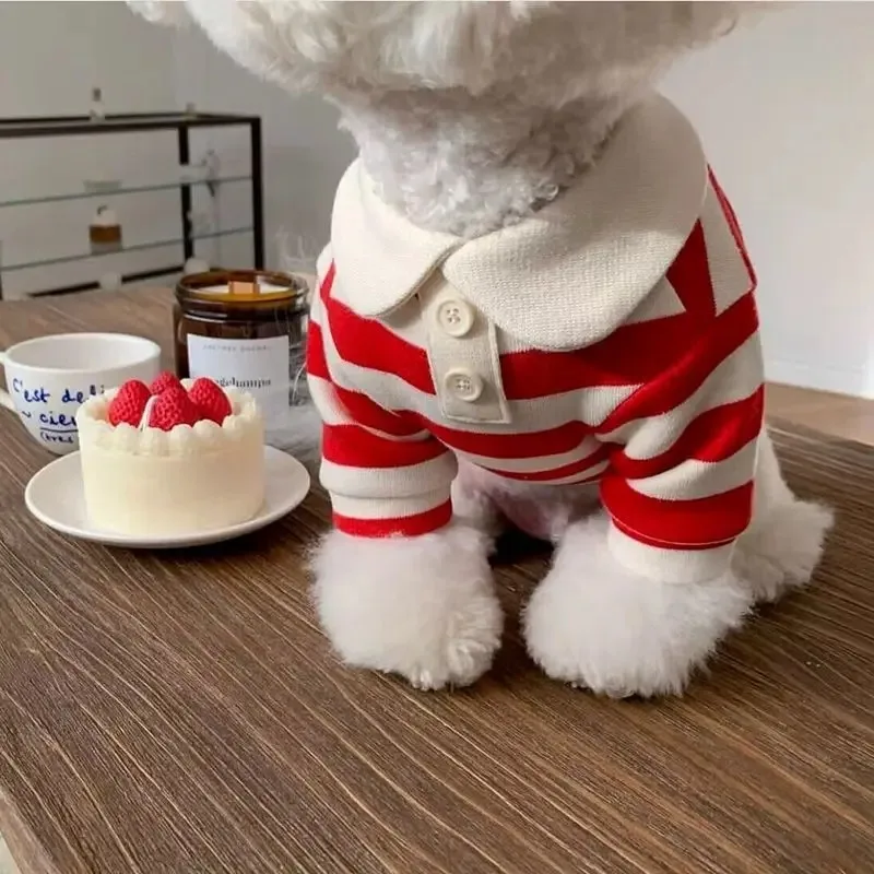 Hunde-Shirt 2