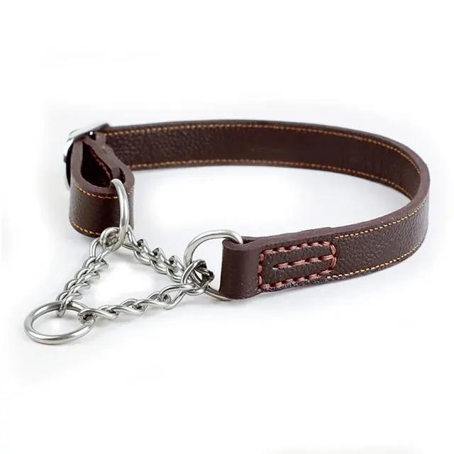 Martingale-Hundehalsband 4