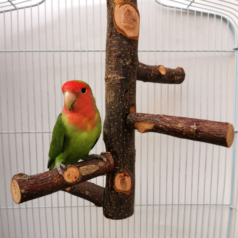 Holz-Sitzstange Vogelspielzeug 2