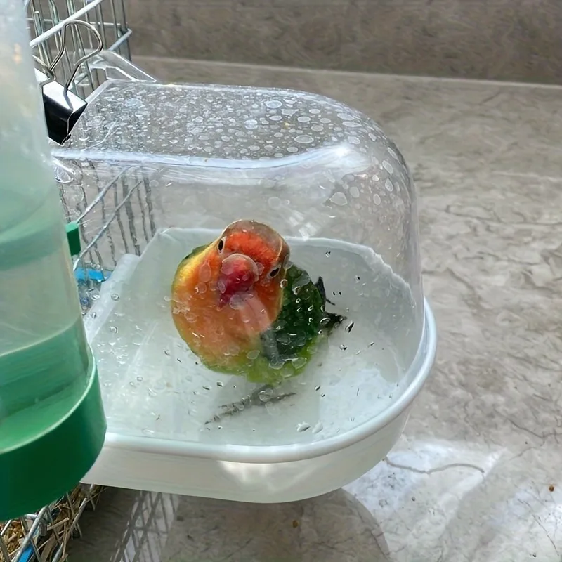 Transparente Vogelbadewanne mit Spritzschutz 3