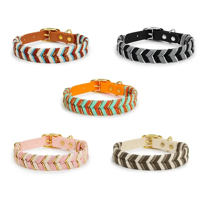 Hundehalsband 4