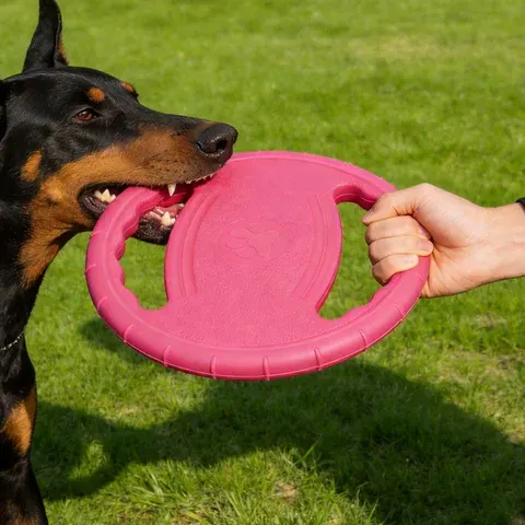 EVA-Hunde-Frisbee