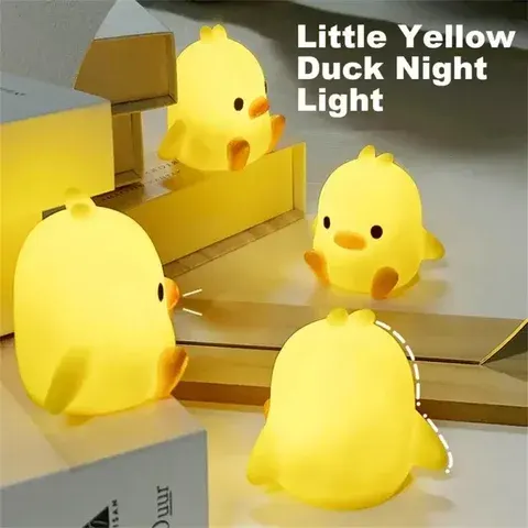 Enten-Nachtlicht