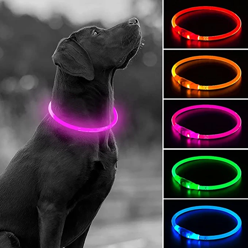 LED-USB-Hundehalsband für Nachtsicherheit 2