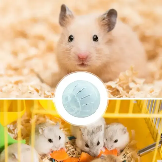 Hamsterball 4