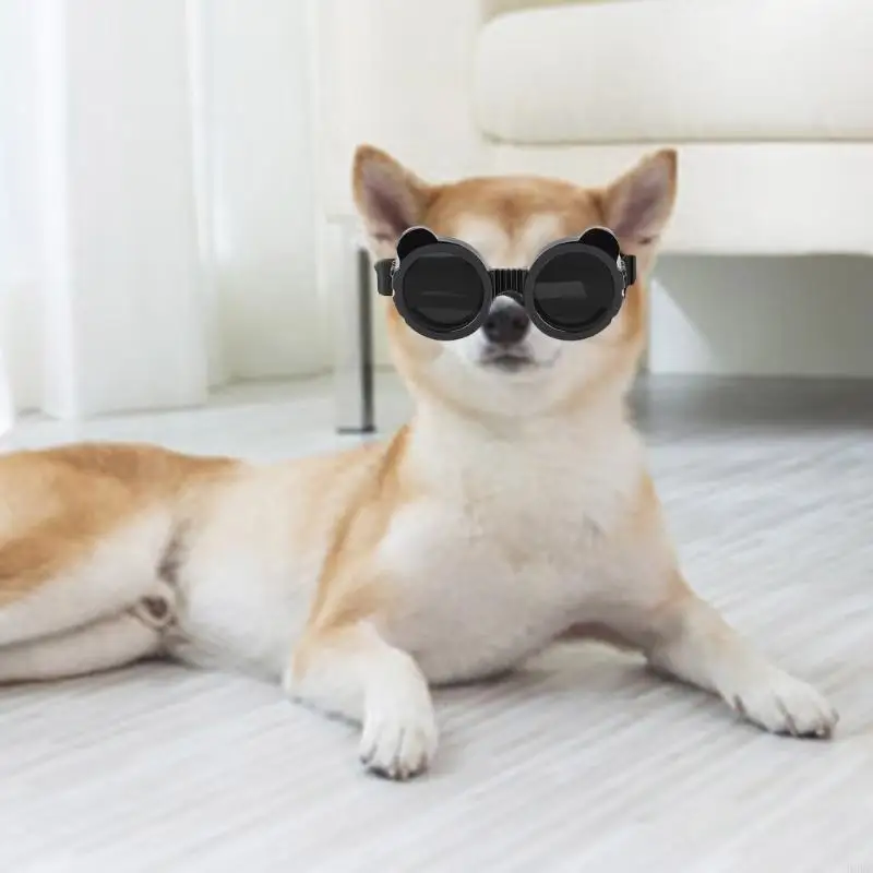 Hunde-Sonnenbrille 3