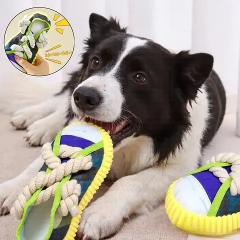 Quietsche-Hundespielzeug
