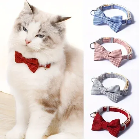 Katzen-Halsband-Fliege