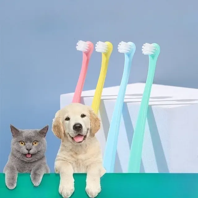 Hunde-Zahnbürste 4