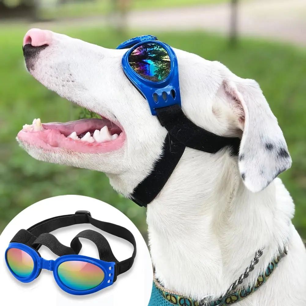 Hunde-Sonnenbrille