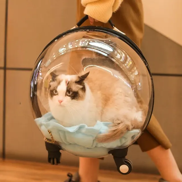 Katzen-Transporttasche 2