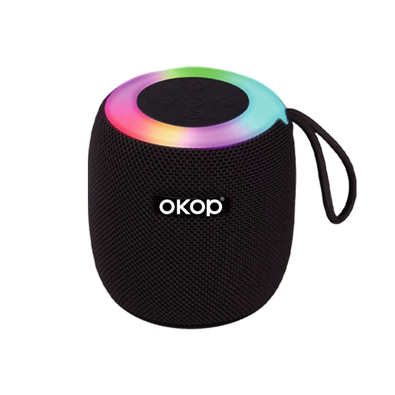 Tragbarer Bluetooth-Lautsprecher