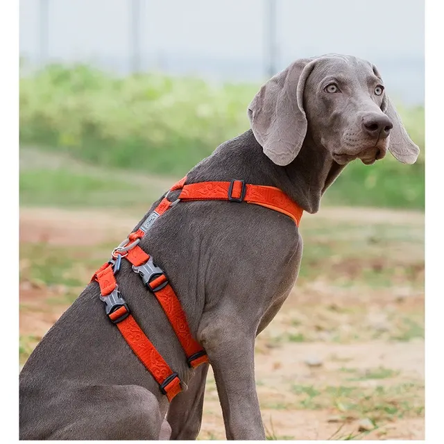 Personalisiertes Hundegeschirr 3