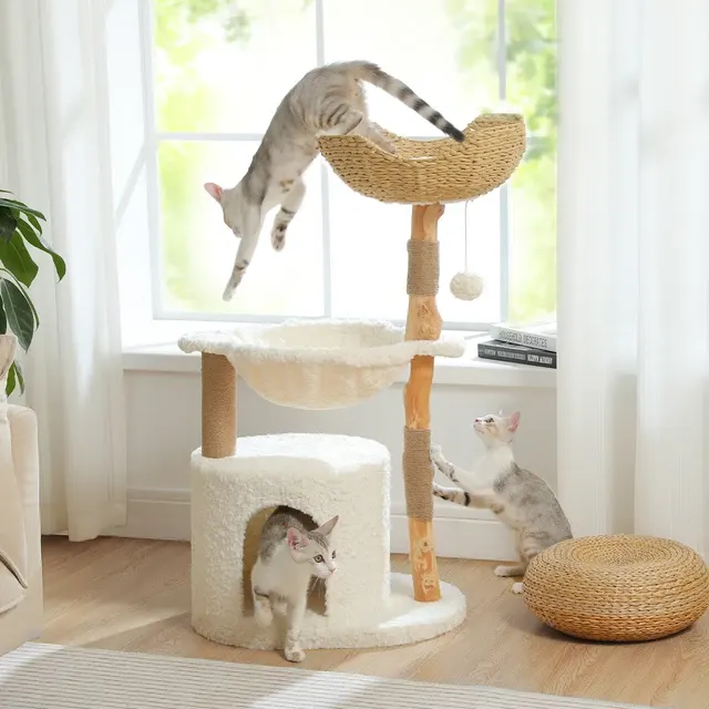 Katzenbaum 2