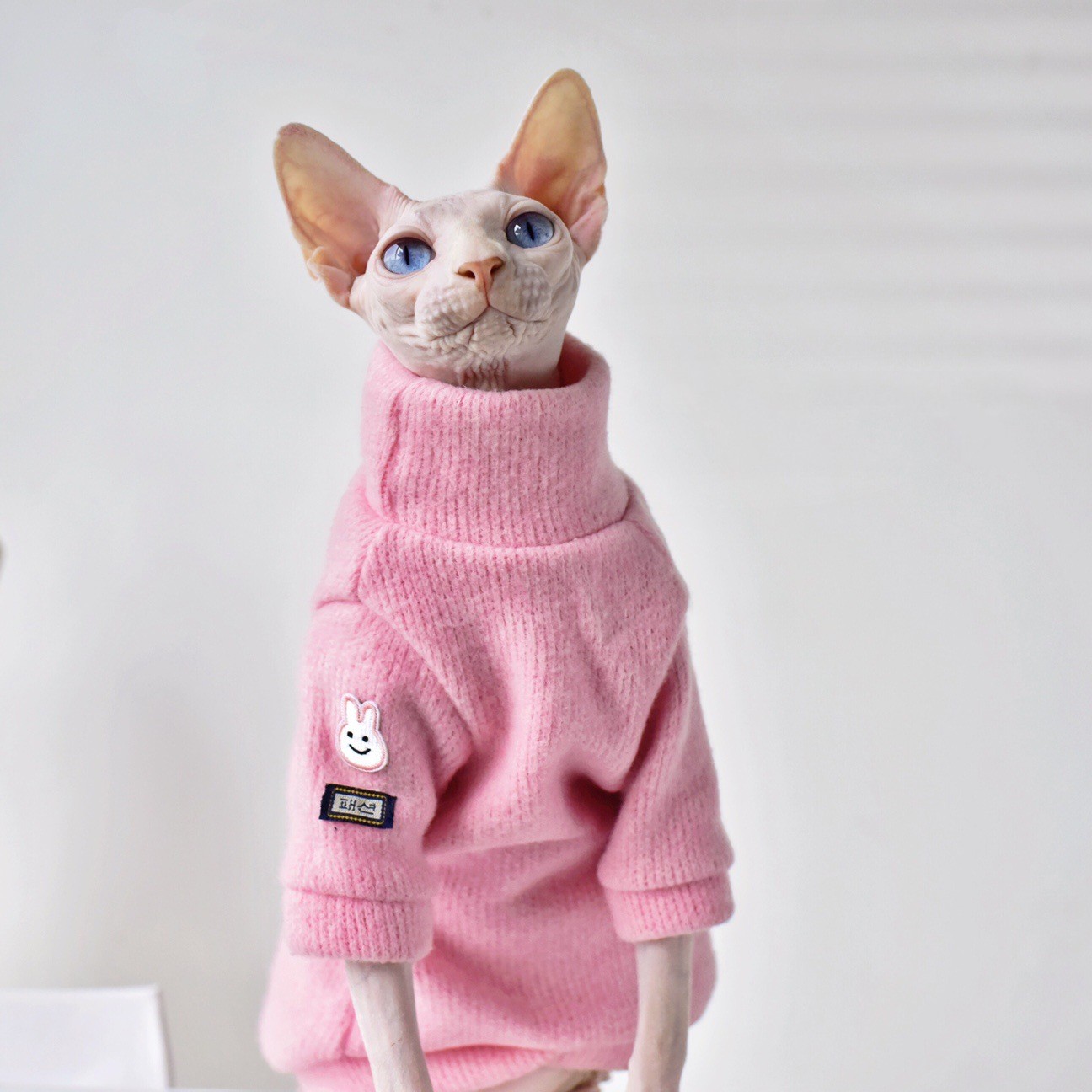 Katzenpullover