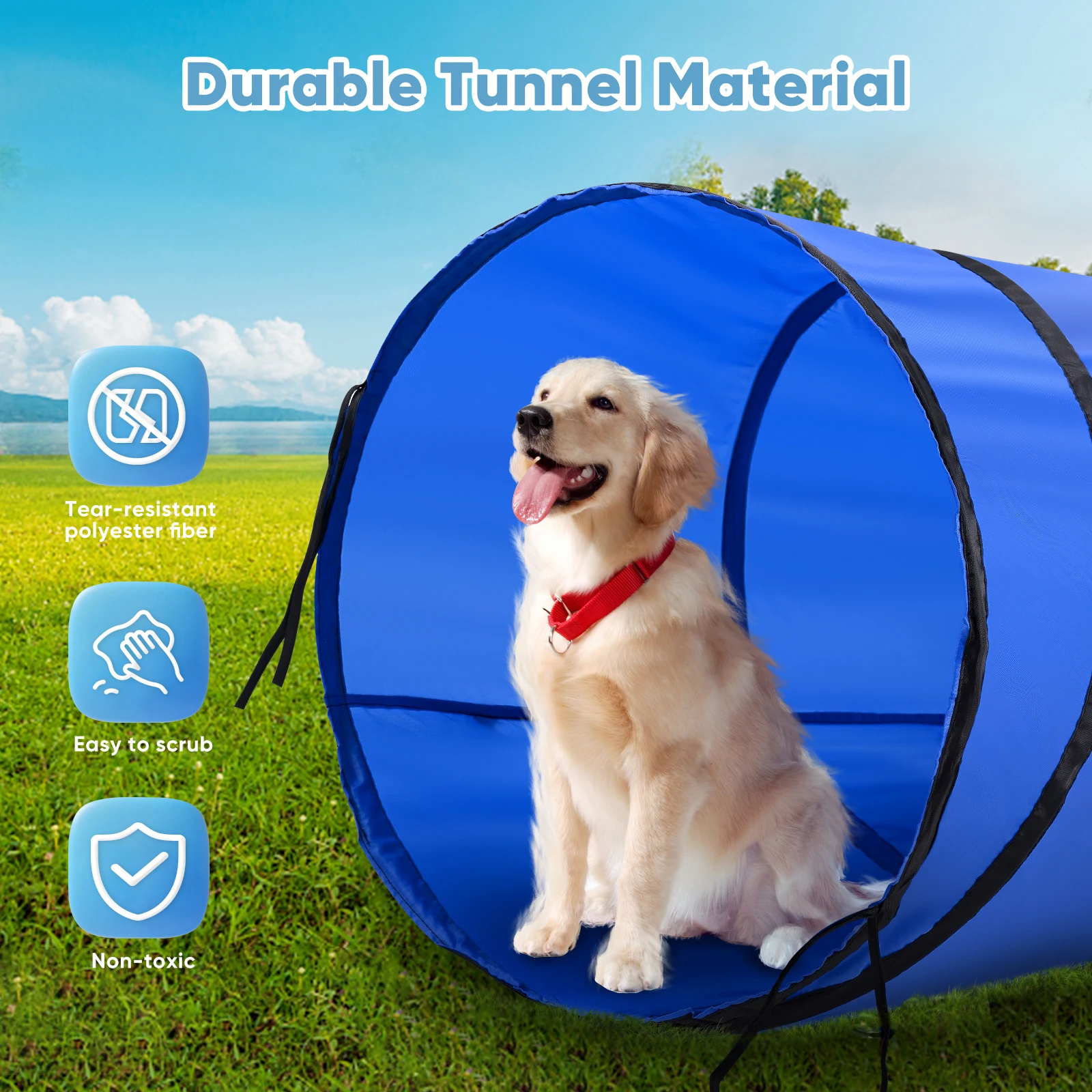 Hunde-Agility-Set 2