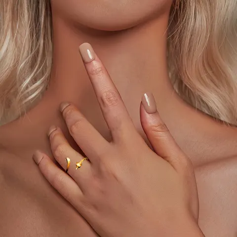 Fuchs-Ring
