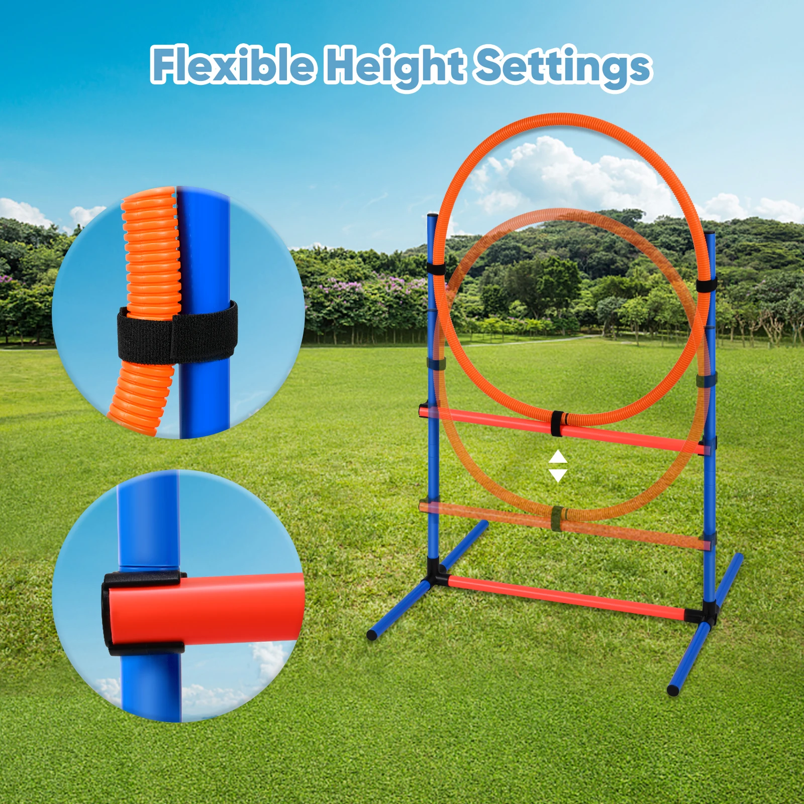Hunde-Agility-Set 3