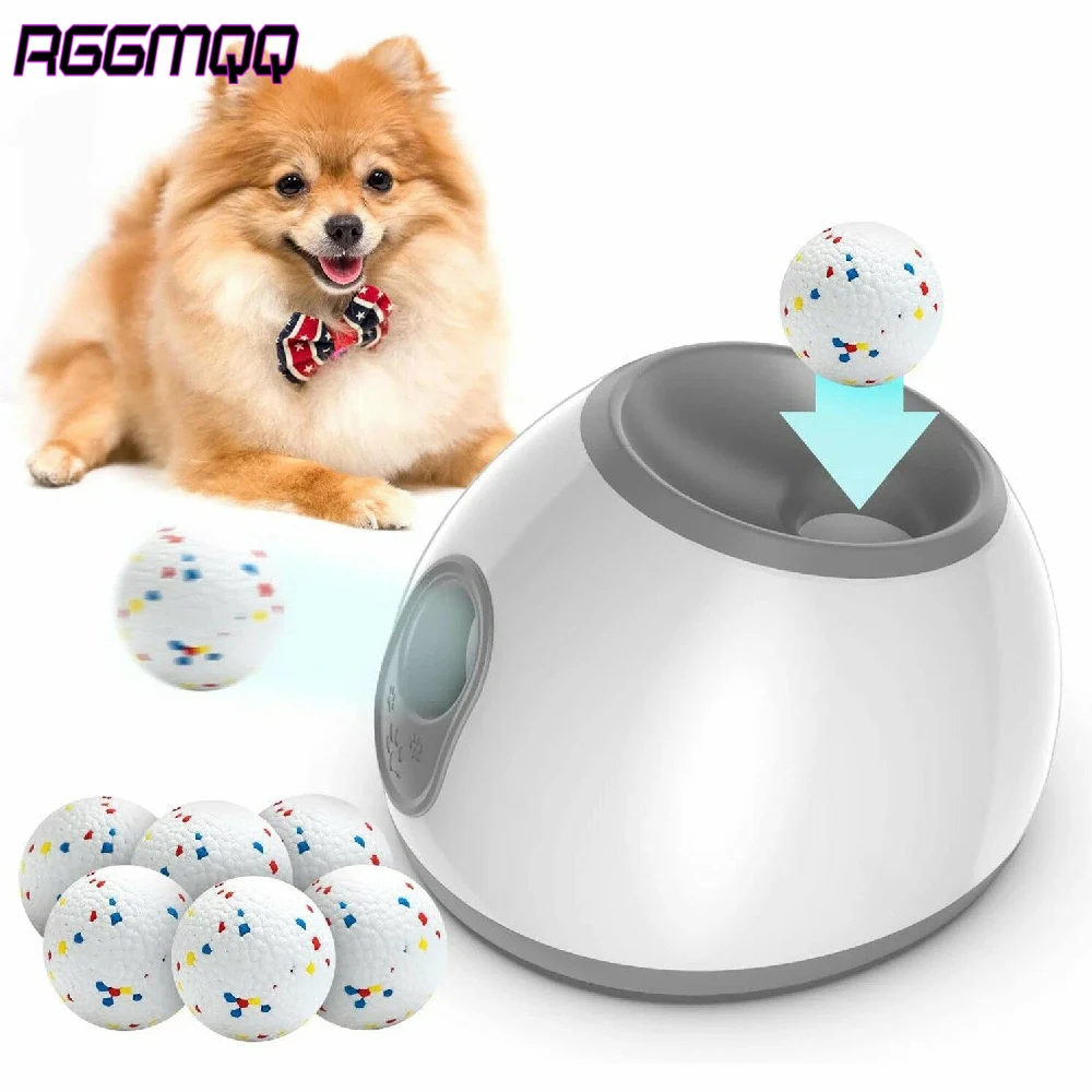 Automatischer Ballwerfer für Hunde