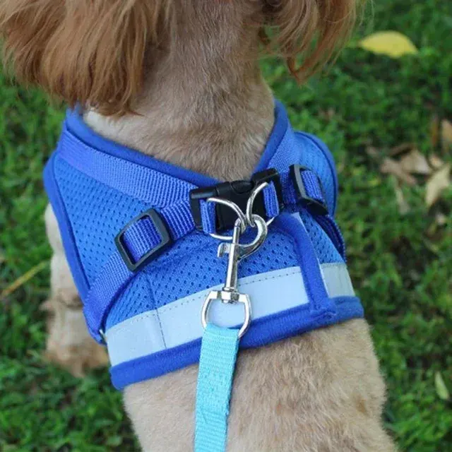 Hundegeschirr Weste 1