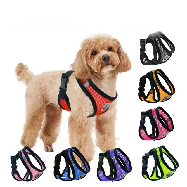 Verstellbares Netz-Hundegeschirr mit Leine 3
