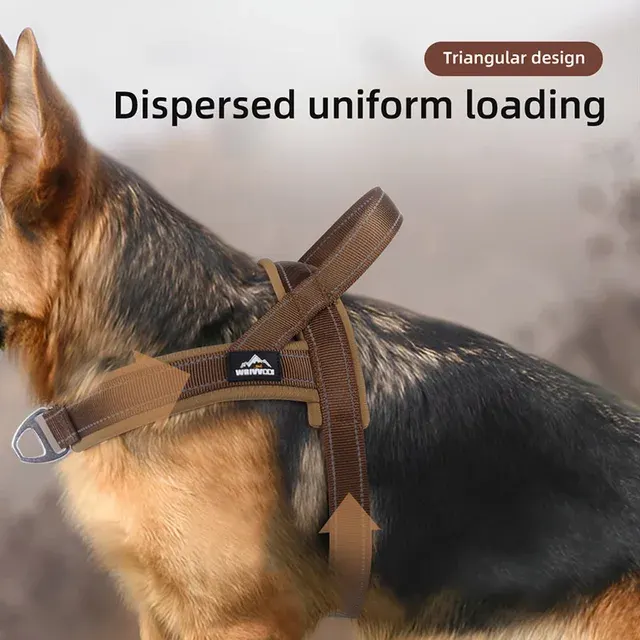 Taktisches Hundegeschirr 3