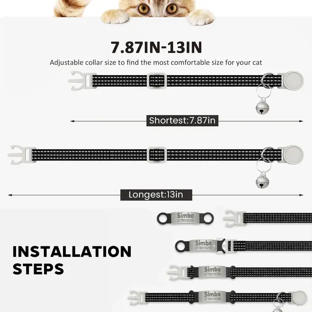 Personalisiertes Katzenhalsband 2