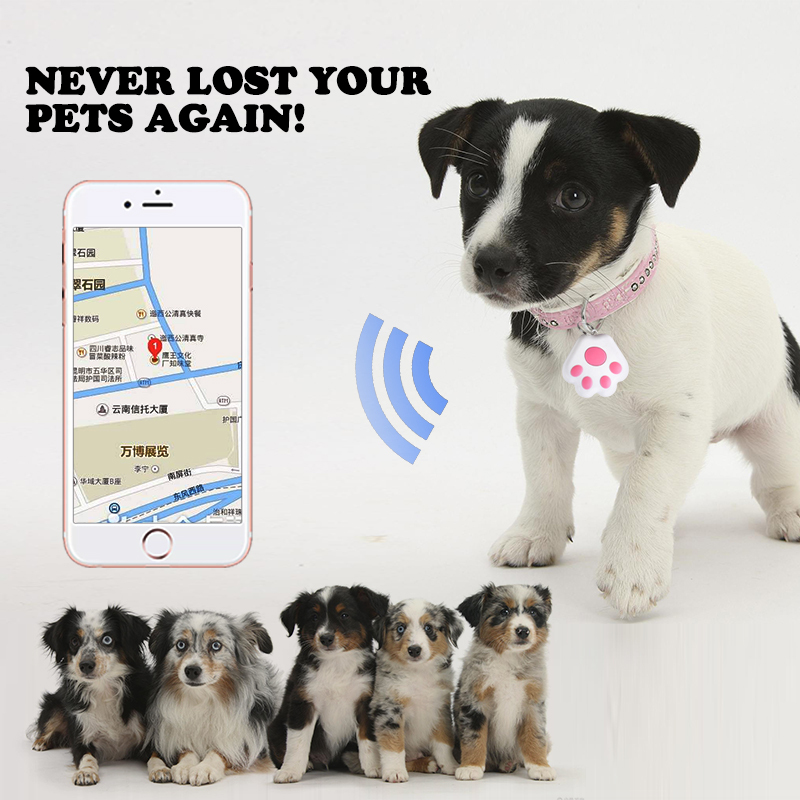 Niedliches Bluetooth Tracker Set für Haustiere 3