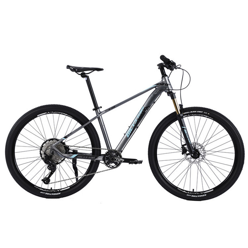 Vollfederung 29-Zoll-Mountainbike 21-Gang Stahl 2