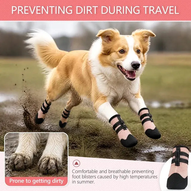 Hundeschuhe 4