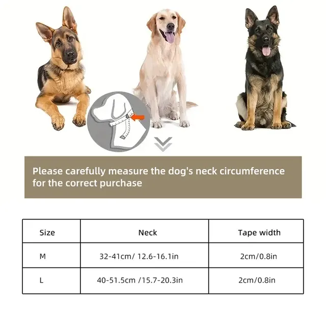 Wasserdichtes Hundehalsband 2