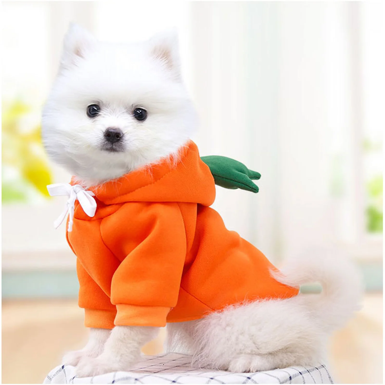 Hundehoodie 3