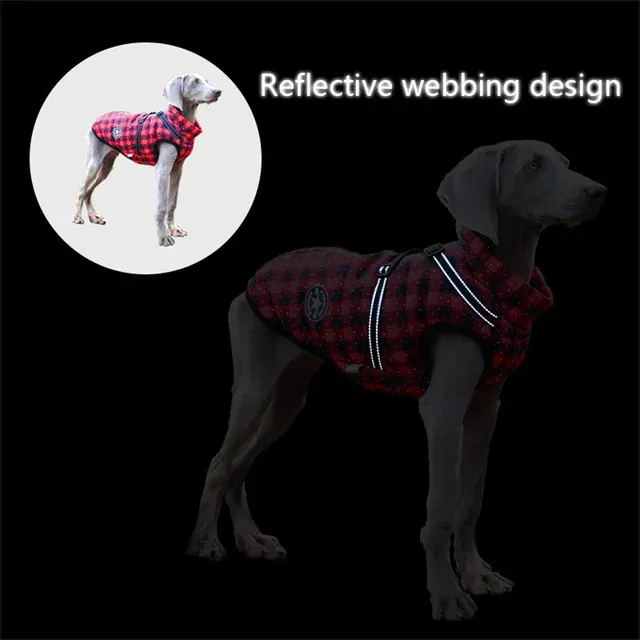 Winterjacke für Hunde 4