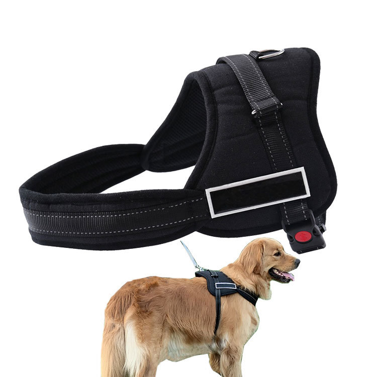 Hundegeschirr