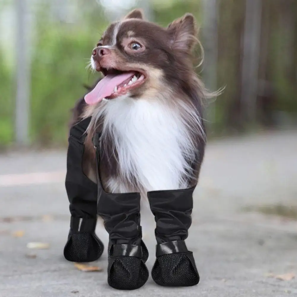 Hunde-Regenstiefel 3