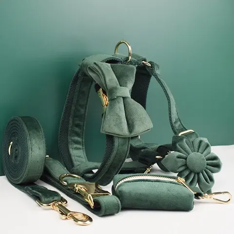 Hundehalsband-Set