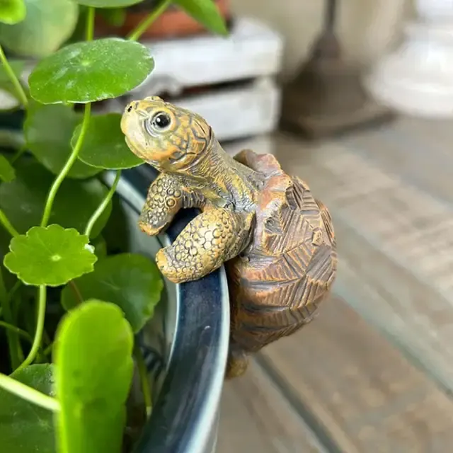 Schildkröten-Blumentopfhänger 4