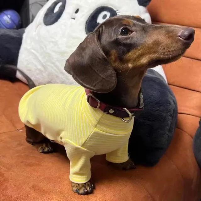Hunde-Schlafanzug 2