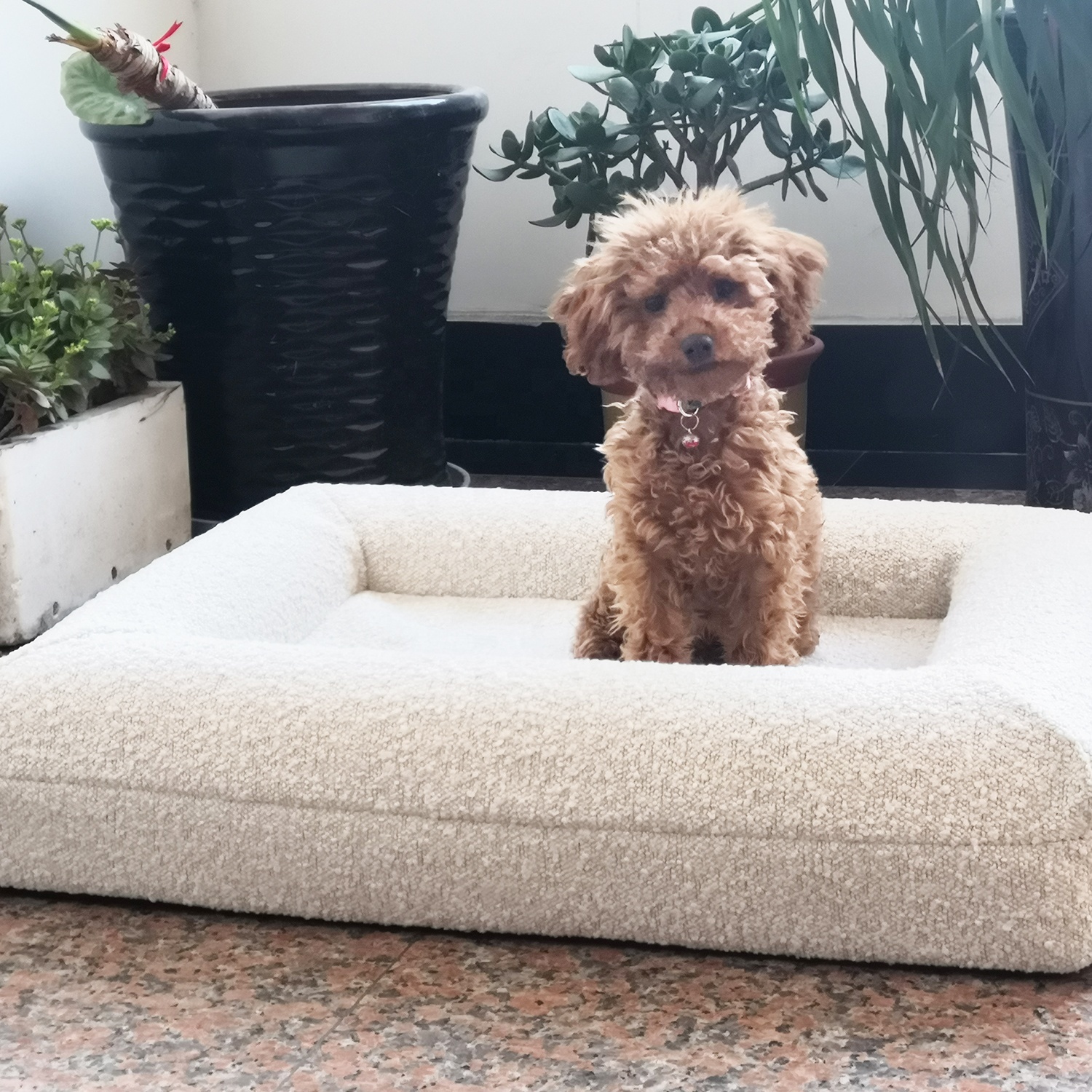 Waschbares Hundebett aus Bouclé-Schaumstoff