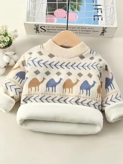 Kleinkind-Strickpullover 2