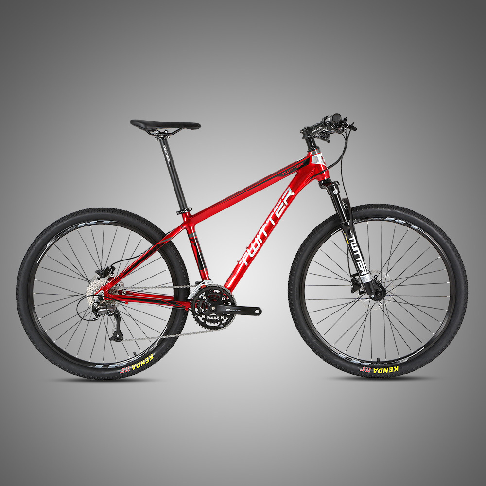 29-Zoll Trail-Mountainbike Komplettrad
