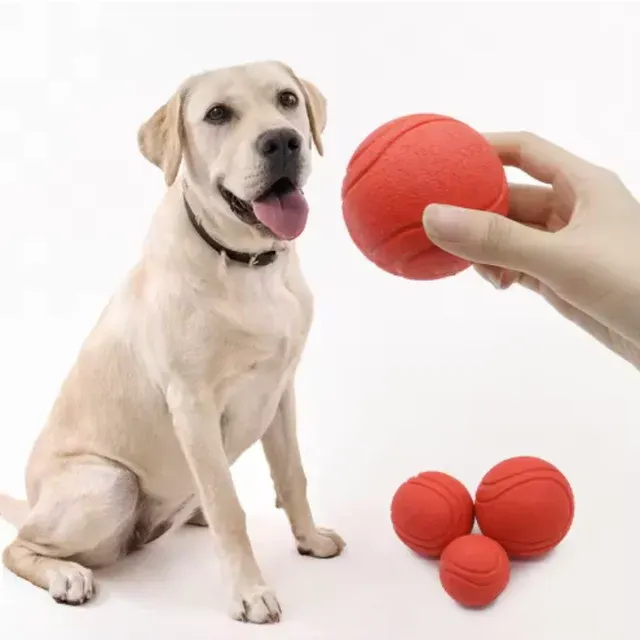 Gummi-Hundeball 2