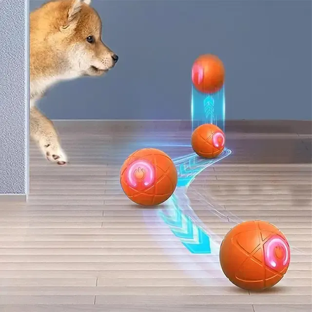 Interaktiver Hundeball 3