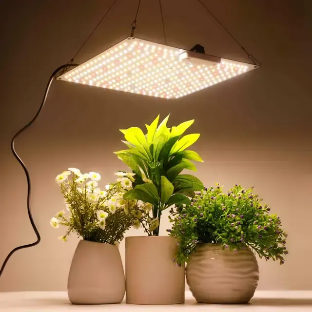 LED-Pflanzenlampe 1