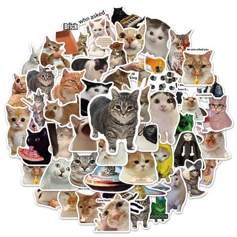 Katzen-Meme Wasserflaschen-Aufkleber Set