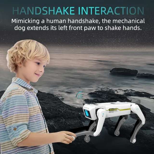 Interaktiver Roboterhund 3