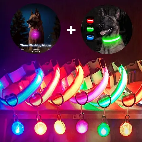 LED-Hundehalsband