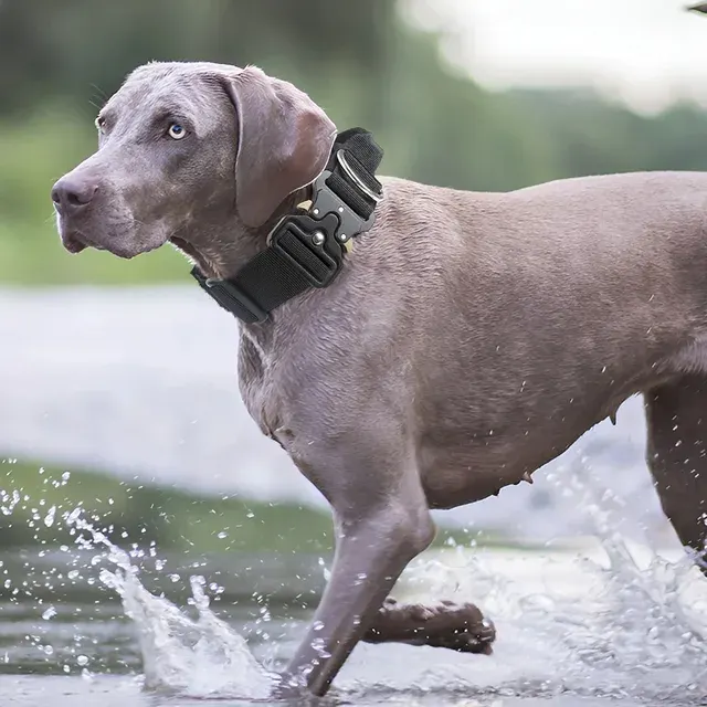 Hundegeschirr Set 4